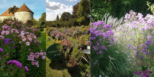 Le jardin de campagne