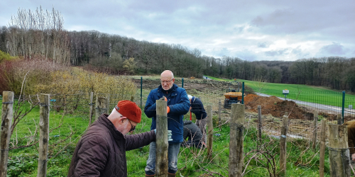 La vigne de Grisy au printemps 2024